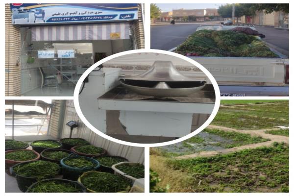 تصویرسبزی فروشی 