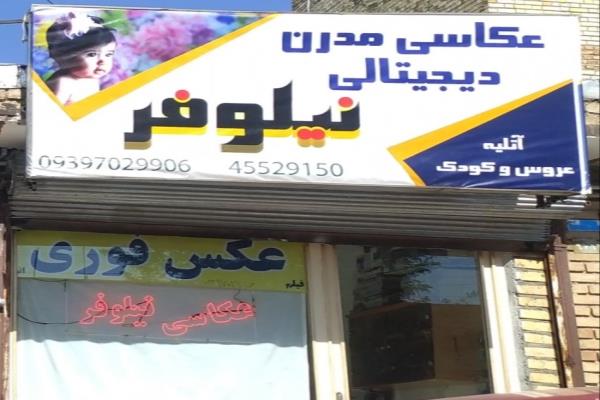 تصویرعکاسی مدرن دیجیتال نیلوفر