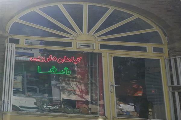 تصویرگیاهان دارویی شفا