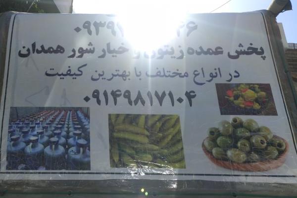 تصویرپخش زیتون و انواع خیارشور همدان