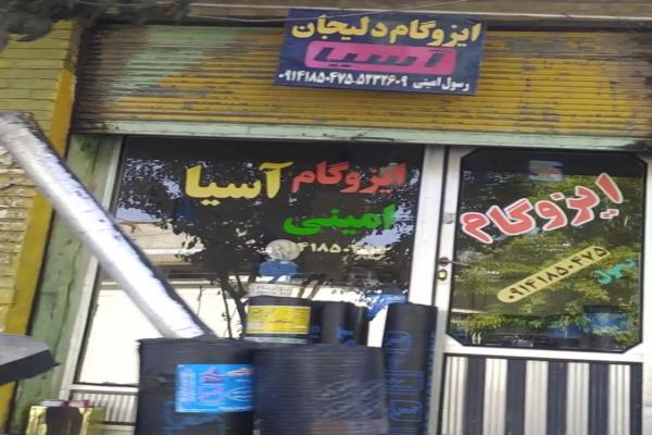 تصویرایزوگام دلیجان