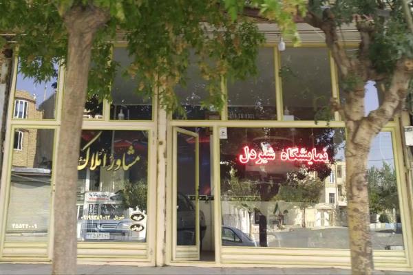 تصویربنگاه ماشین و املاک شیر دل