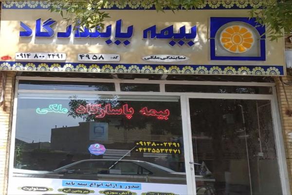تصویربیمه پاسارگاد نمایندگی ملکی 
