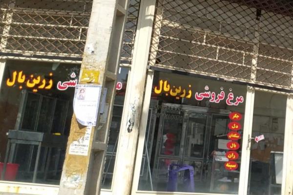 تصویرمرغ فروشی زرین بال