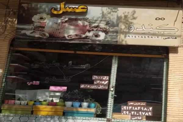 تصویرعسل کندو