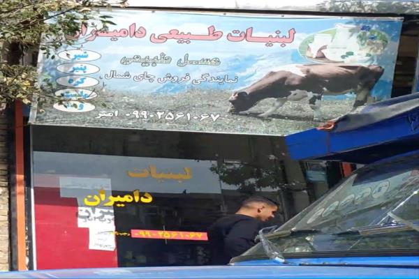 تصویرلبنیات طبیعی دامیران