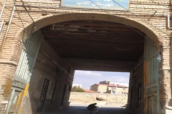 تصویربابری اتحاد