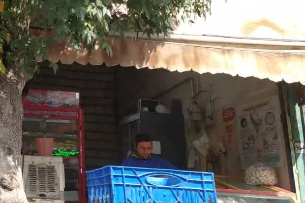 تصویرمرغ فروشی 