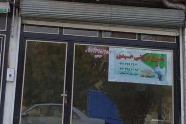 تصویرمرغ فروشی عبدی