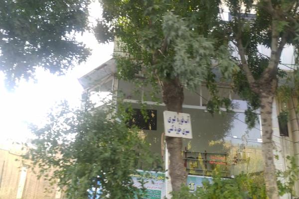 تصویرسبزی خرد کنی و گرفتن  آبلیمو و آبغوره 