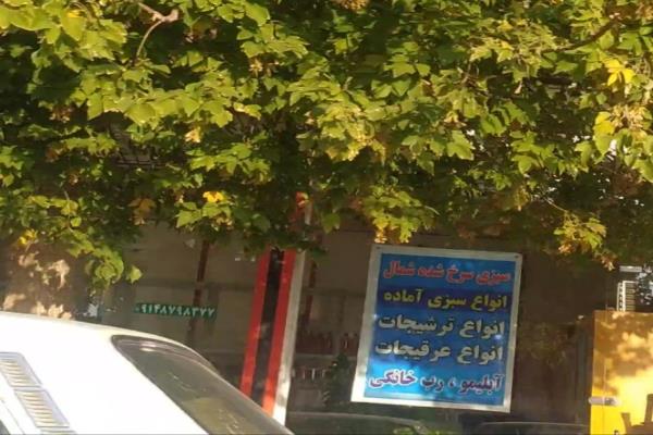 تصویرسبزی سرخ شده شمال