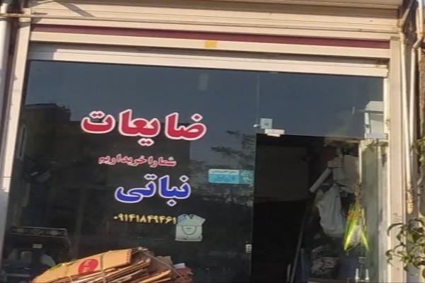تصویرضایعاتی نباتی