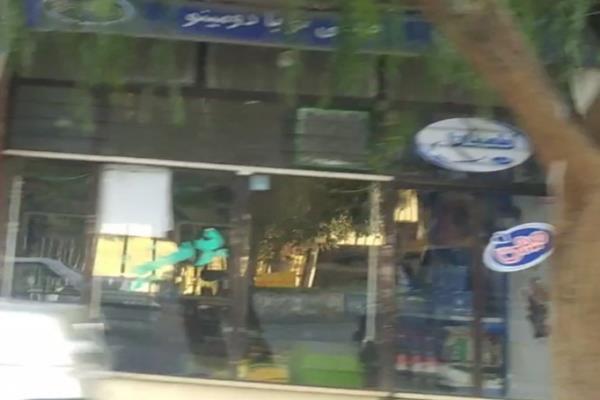 تصویرپخش مواد غذایی دشتی