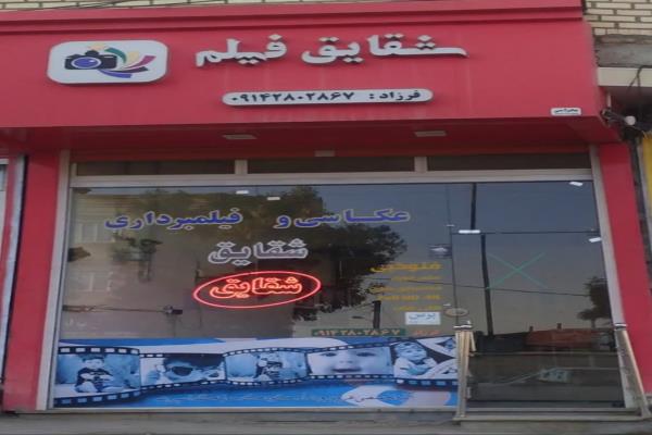 تصویرشقایق فیلم
