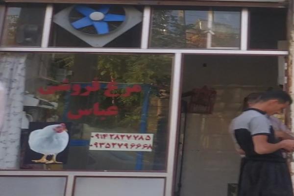 تصویرمرغ فروشی عباس