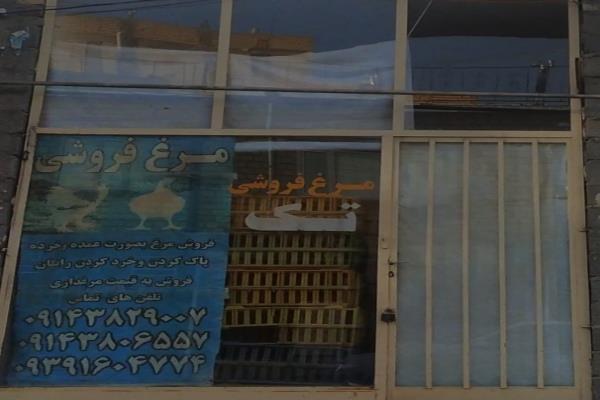 تصویرمرغ فروشی تک