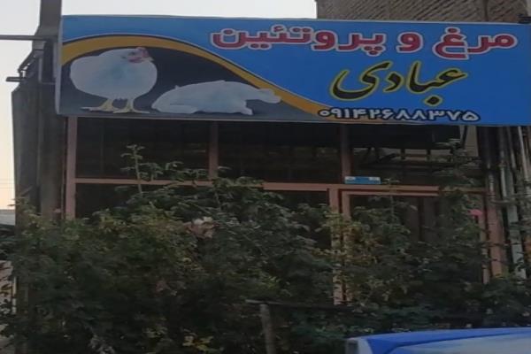 تصویرمرغ و پروتئین عبادی