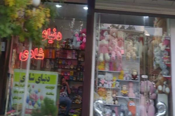 تصویردنیای شادی و عروسک