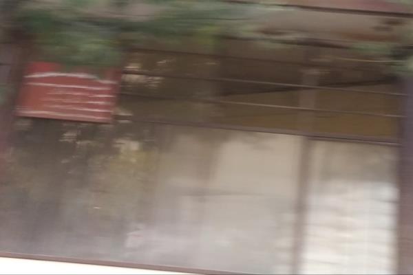 تصویرنانوایی 