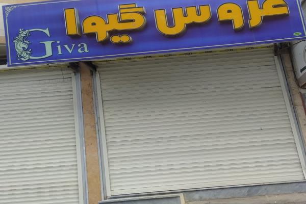 تصویرعروس گیوا 