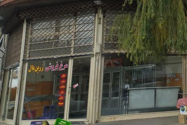 تصویرمرغ فروشی زرین بال