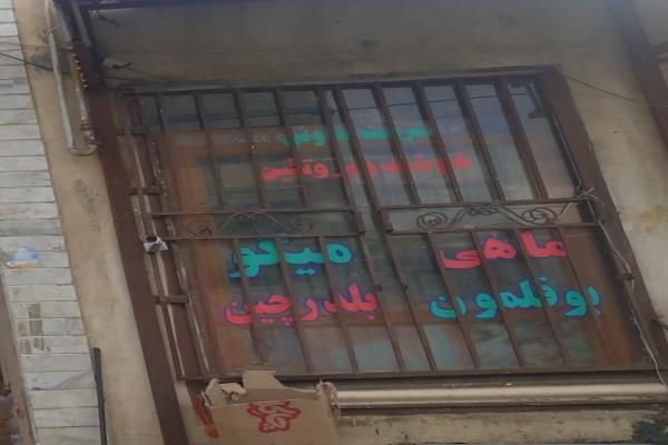 تصویرشرکت تعاونی گوشت و پروتئین ماهی بوقلمون میگو بلدرچین