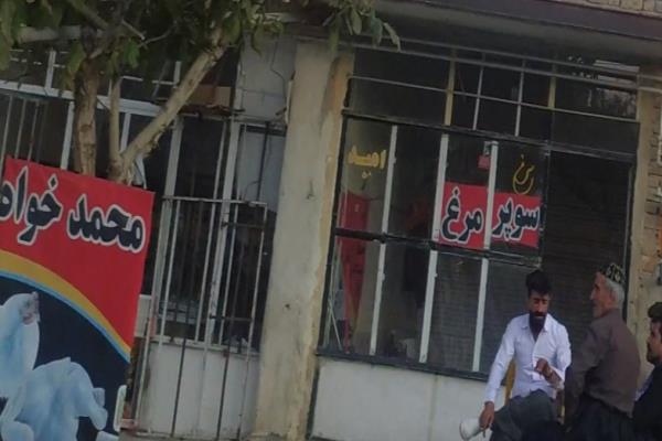 تصویرسوپر مرغ محمد خواه