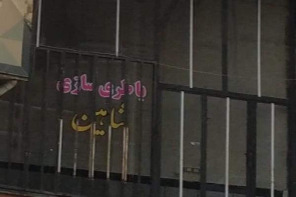 تصویرباتری سازی شاهین