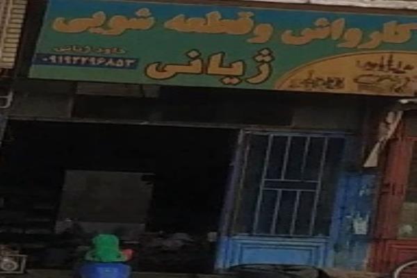 تصویرقطعه شویی ژیانی