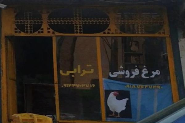 تصویرمرغ فروشی ترابی