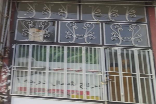 تصویرفروش برنج درجه 1 شمال