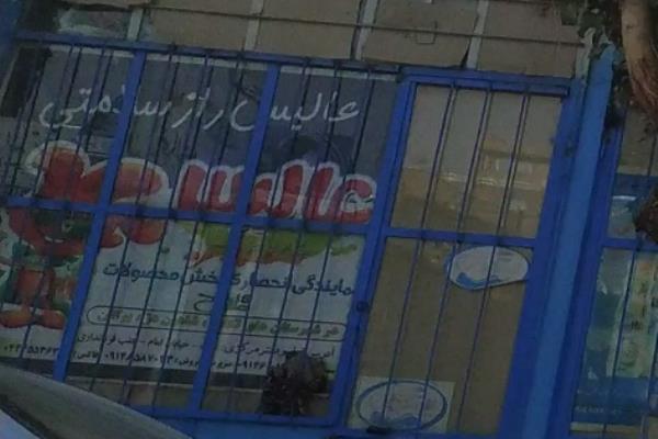 تصویرنمایندگی پخش محصولات عالیس