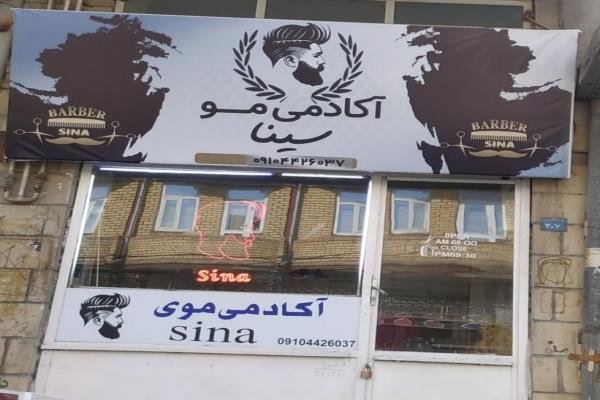 تصویرآکادمیک موی سینا