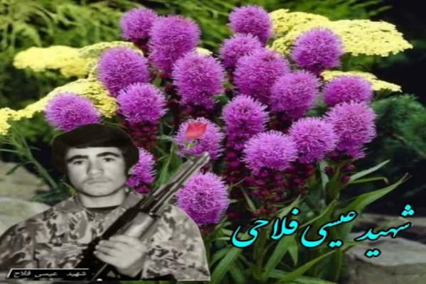 🔸مراسم هفتگی دعای کمیل تصویر خبر