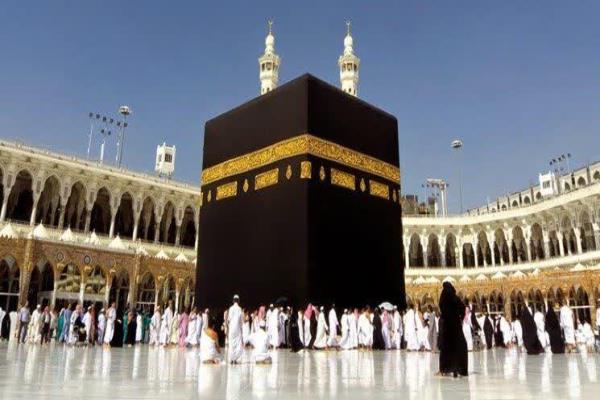رئیس سازمان حج و زیارت: تصویر خبر