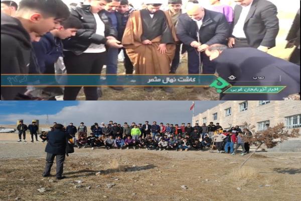 کاشت نهال با حضور امام جمعه و مدیر آموزش و پرورش تکاب تصویر خبر
