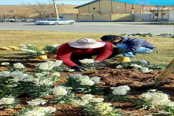استقبال از نوروز ۱۴۰۳ تصویر خبر